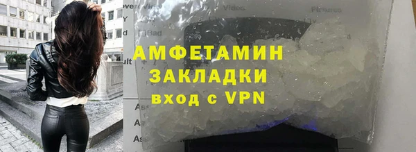 гидра Богданович