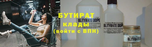 гидра Богданович