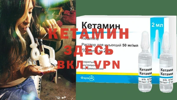 гидра Богданович