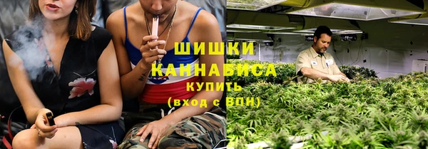 стафф Богородск