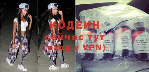 гидра Богданович