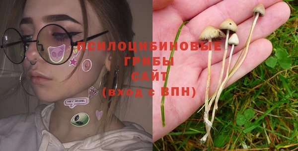 экстази Богородицк