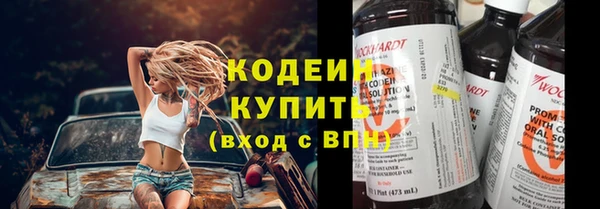 гидра Богданович