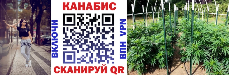 Бошки марихуана SATIVA & INDICA маркетплейс состав Реж